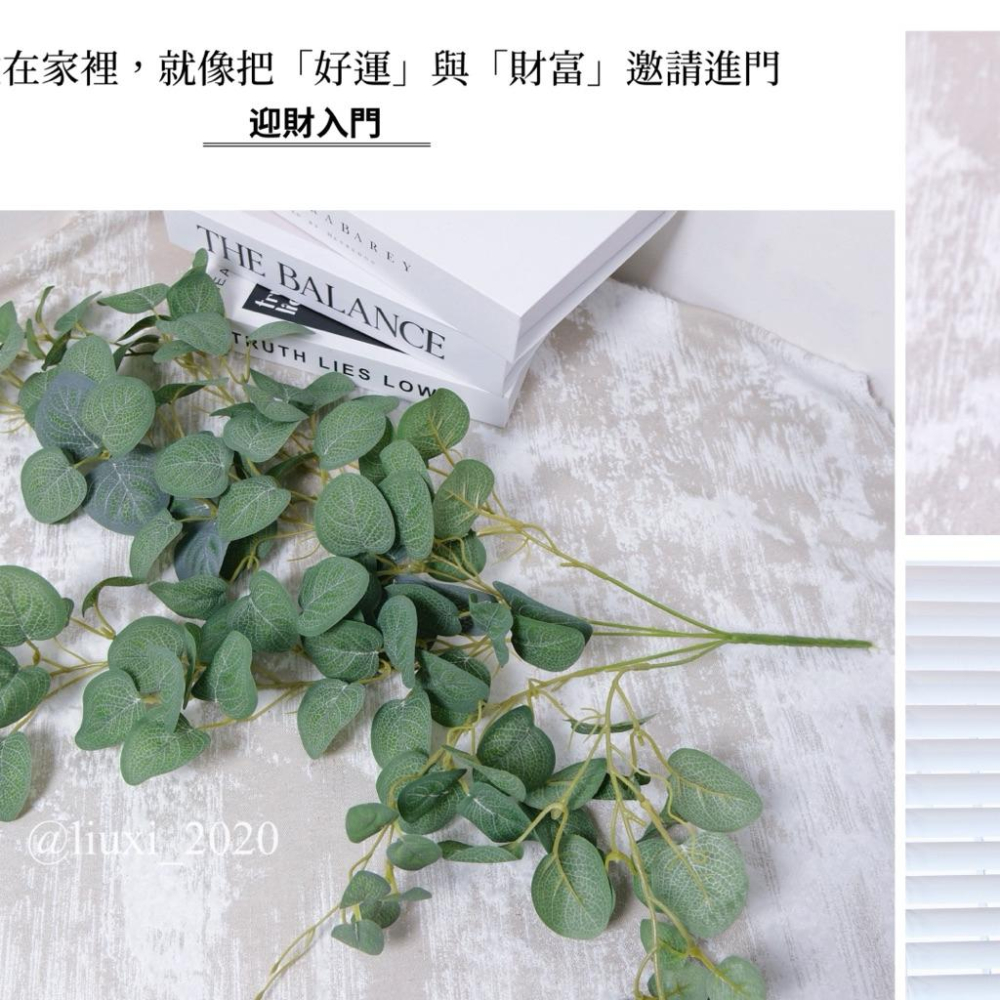 現貨🔺仿真金錢葉｜綠色藤蔓｜綠葉子｜綠植裝飾 假花 假葉｜居家風水擺件 招財樹 開運招財擺設 店面佈置 花牆 婚禮佈置-細節圖3