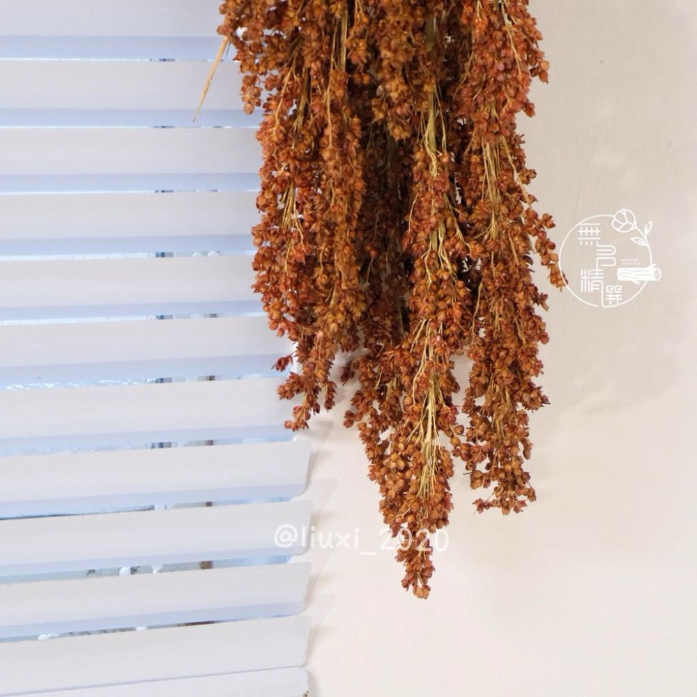 現貨🔺台灣 紅高粱｜乾燥花｜高粱乾燥花｜農村風手作材料 包裝點綴 象徵豐收 新年佈置 中秋節 花束材料 禮盒點綴 紅高粱-細節圖3