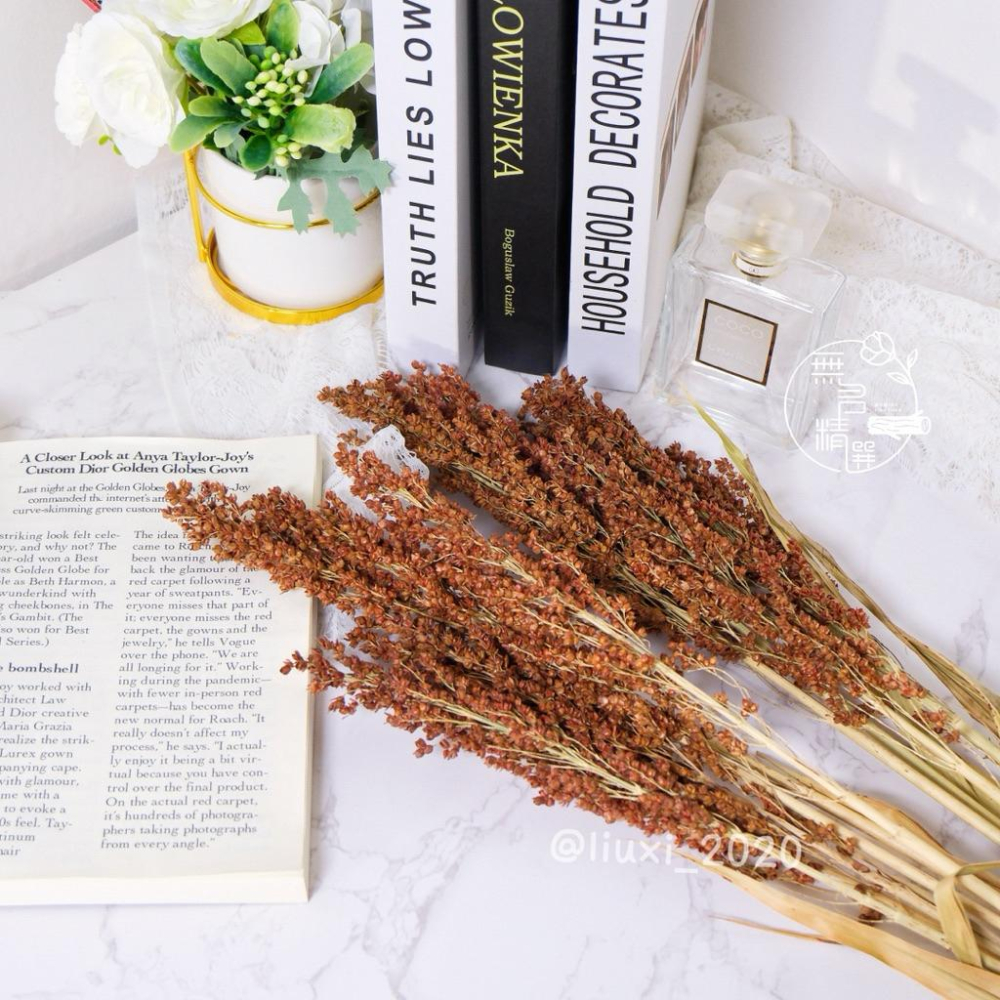 現貨🔺台灣 紅高粱｜乾燥花｜高粱乾燥花｜農村風手作材料 包裝點綴 象徵豐收 新年佈置 中秋節 花束材料 禮盒點綴 紅高粱-細節圖4