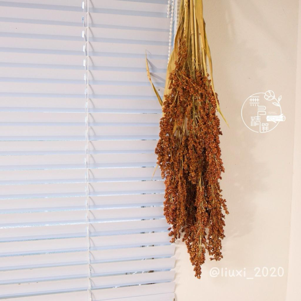 現貨🔺台灣 紅高粱｜乾燥花｜高粱乾燥花｜農村風手作材料 包裝點綴 象徵豐收 新年佈置 中秋節 花束材料 禮盒點綴 紅高粱-細節圖5