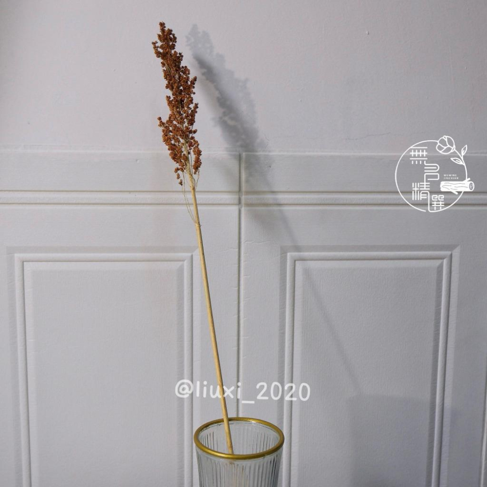 現貨🔺台灣 紅高粱｜乾燥花｜高粱乾燥花｜農村風手作材料 包裝點綴 象徵豐收 新年佈置 中秋節 花束材料 禮盒點綴 紅高粱-細節圖6