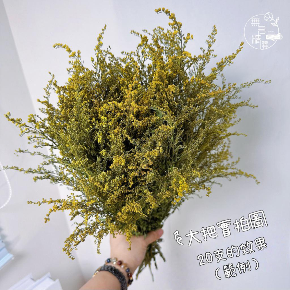 現貨🔺麒麟草乾燥花｜花藝素材｜攝影佈置道具 快速出貨 隔日到貨 乾燥麒麟草 大束 麒麟草｜花藝課/商空佈置/居家擺設推薦-細節圖4