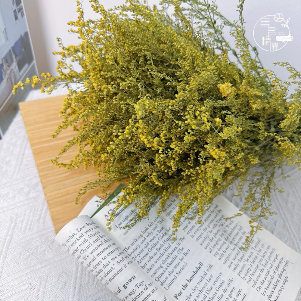 現貨🔺麒麟草乾燥花｜花藝素材｜攝影佈置道具 快速出貨 隔日到貨 乾燥麒麟草 大束 麒麟草｜花藝課/商空佈置/居家擺設推薦-細節圖5