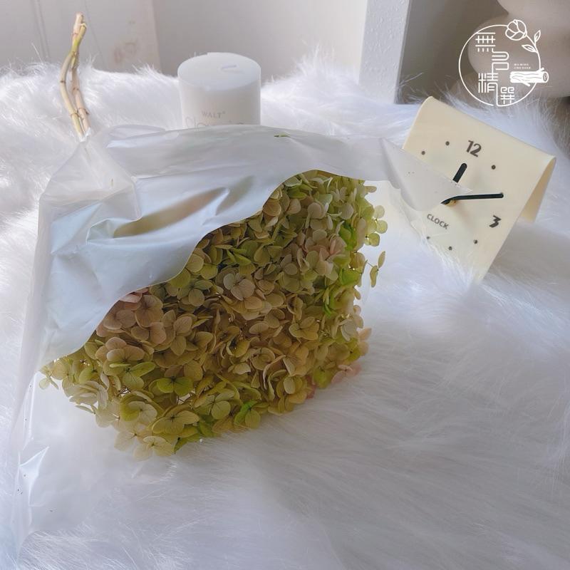 現貨🔺A級 漸變安娜繡球 大朵花 永生花 漸層 木繡球 乾燥花 不凋花 帶梗繡球花 花盅 花束 浮游花 無名精選-細節圖4