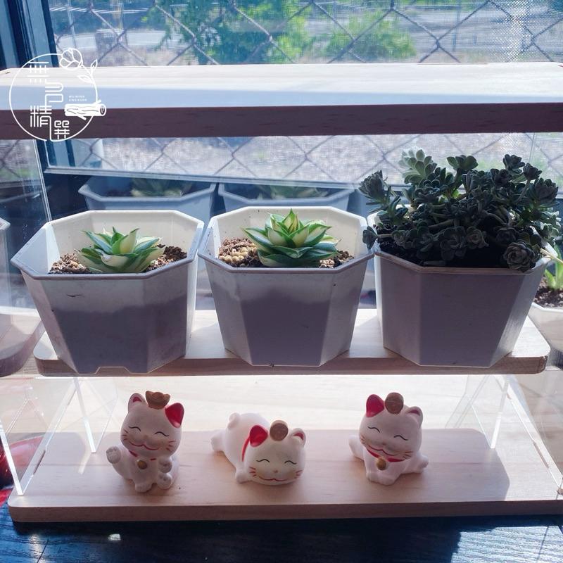 現貨🔺有門壓克力收納盒 盲盒收納 展示架 保養品 防塵 透明 展示櫃 公仔收納 小櫥櫃 木質 玩具收納 壓克力盒子-細節圖6