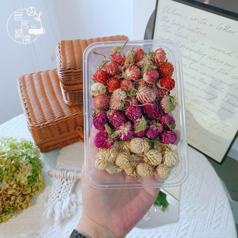 現貨🔺25克一盒 三色 千日紅 圓仔花 乾燥花diy材料 蠟燭材料 手工蠟燭 石膏 永生花 拍照道具 花圈花環 果凍蠟燭-細節圖4
