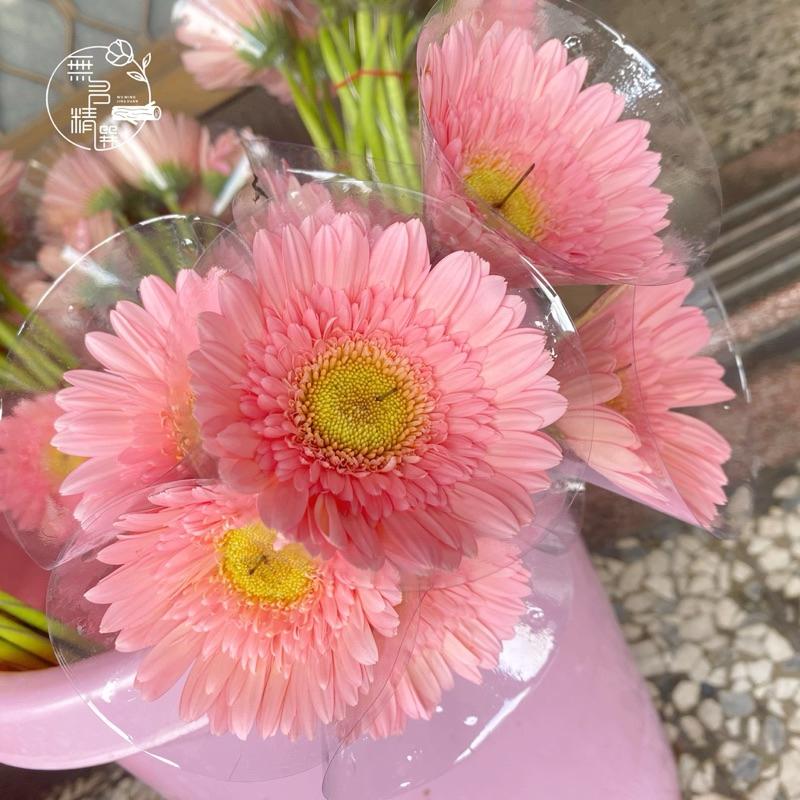 現貨🔺真花 各式鮮花 玫瑰花 桔梗 伊斯馬拉 非洲菊 粉孔雀 幸運鳥 百合花 滿天星 花束 鮮花束 情人節花 供佛 鮮花-細節圖4