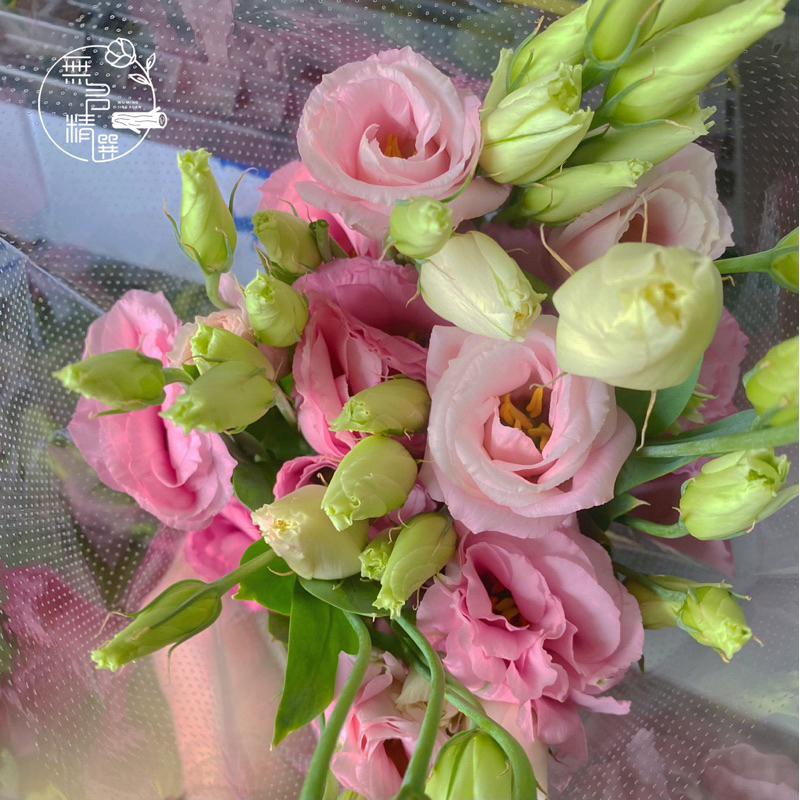 現貨🔺真花 各式鮮花 玫瑰花 桔梗 伊斯馬拉 非洲菊 粉孔雀 幸運鳥 百合花 滿天星 花束 鮮花束 情人節花 供佛 鮮花-細節圖8