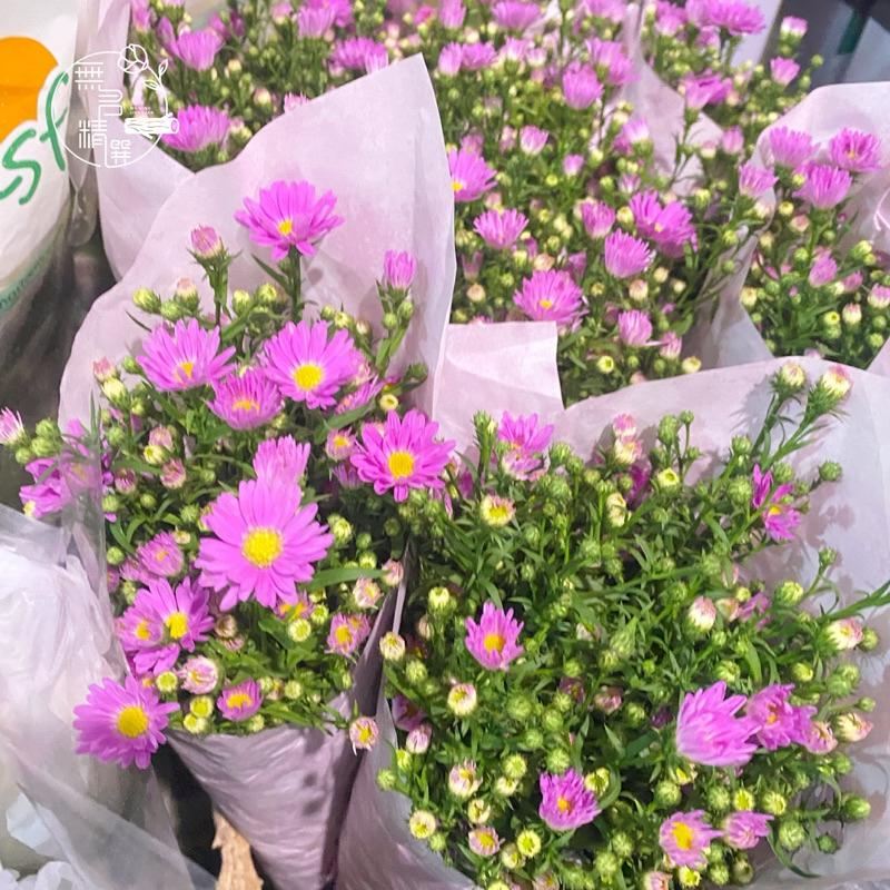 現貨🔺真花 各式鮮花 玫瑰花 桔梗 伊斯馬拉 非洲菊 粉孔雀 幸運鳥 百合花 滿天星 花束 鮮花束 情人節花 供佛 鮮花-細節圖9