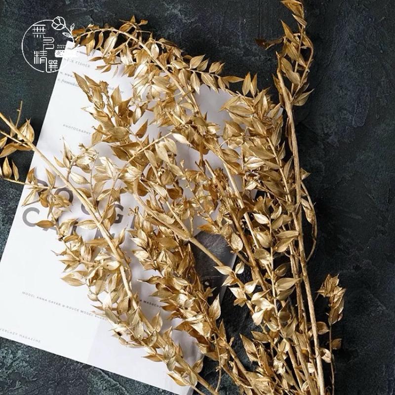 現貨🔺大把批發價 富貴葉 樺木葉 整把 永生花 熊貓竹 花藝材料 不凋花 拍照道具 婚禮佈置 乾燥花 胸花 花束 佈置-細節圖4