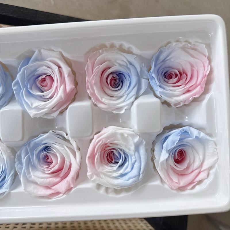 現貨🔺永生花玫瑰花頭｜批發價｜一盒 玫瑰整盒 花材 花盅材料 DIY乾燥花 擴香石 材料包 永生花 漸層玫瑰 玻璃罩-細節圖2