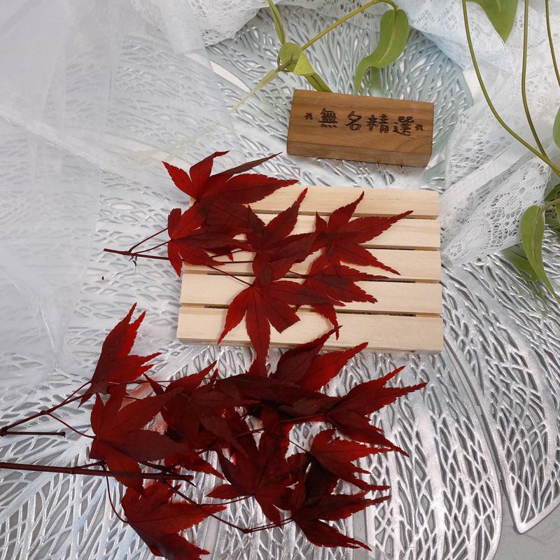 現貨🔺永生紅楓 乾燥花 永生花 紅葉子 不凋花 書籤 壓花 DIY 花材 楓葉 玻璃罩 手作-細節圖5