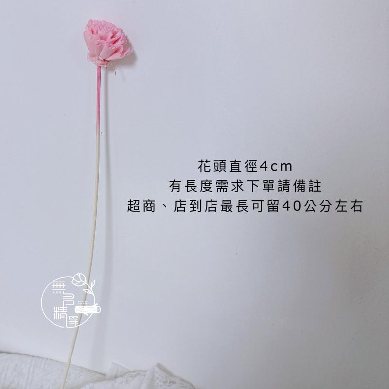 現貨🔺有桿子 索拉康乃馨｜手工 通草花｜索拉花 母親節 花束 花盅 擴香花 花藝材料-細節圖3