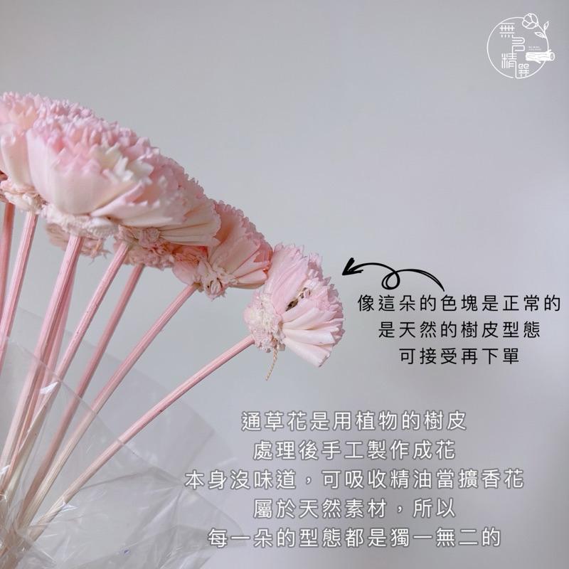 現貨🔺有桿子 索拉康乃馨｜手工 通草花｜索拉花 母親節 花束 花盅 擴香花 花藝材料-細節圖4