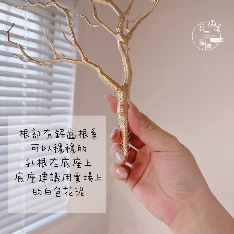 現貨🔺仿真樹枝｜假樹枝｜仿真珊瑚 塑膠樹枝 鈔票花樹枝 DIY材料 仿真植物 抱抱桶 發財樹 聖誕節 鹿角-細節圖2