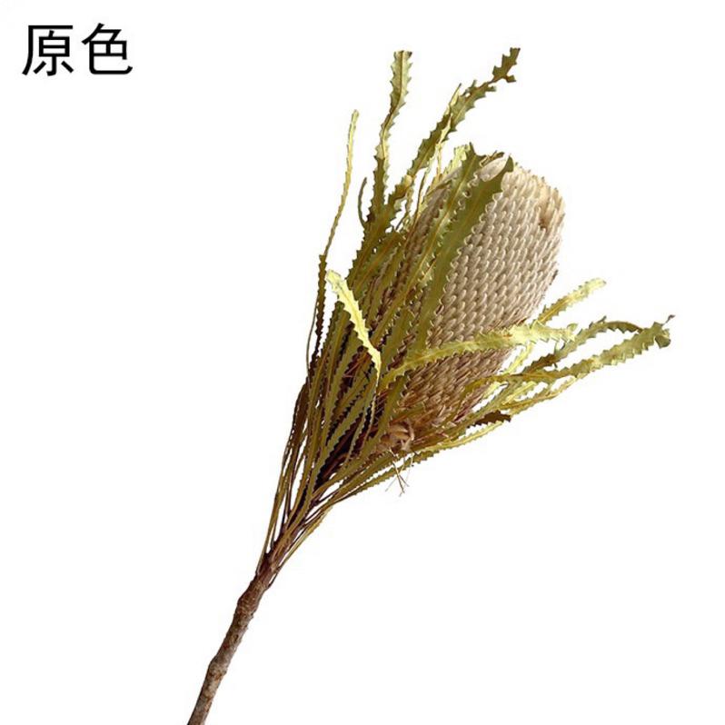 現貨🔺大佛塔 班克木 乾燥花 主花 大花 永生花 花束 花瓶 花材 斑克木 居家佈置 花藝 拍照道具 佛塔-細節圖3
