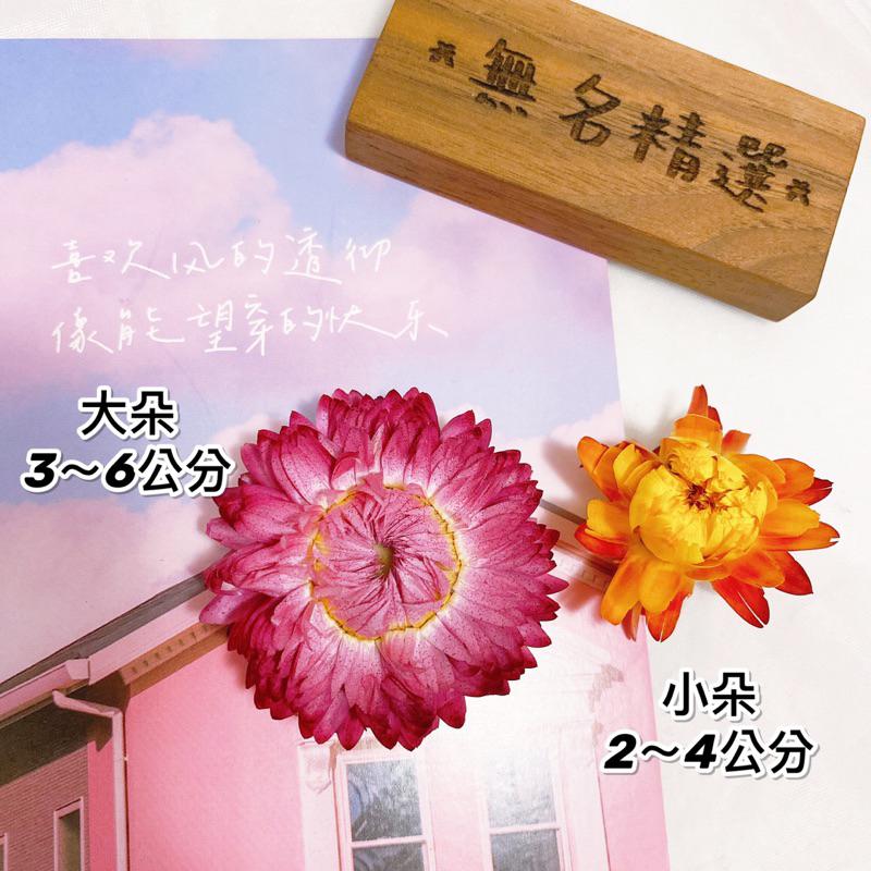 現貨🔺10克 盒裝 麥稈菊 綜合色 花頭 乾燥花 材料包 浮游花 花圈 藤圈 永生花 短枝花材 綜合乾燥花-細節圖5