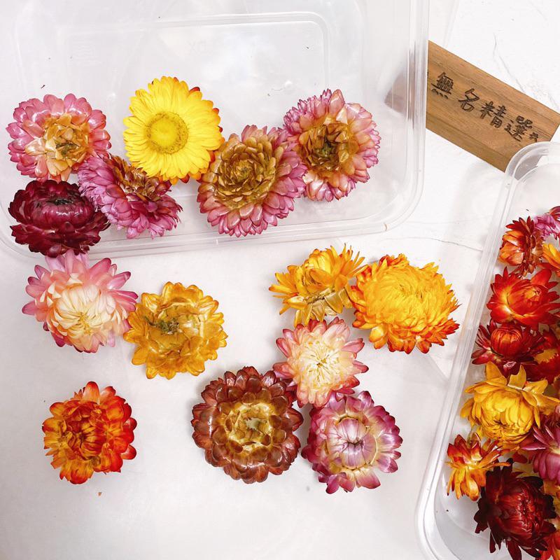 現貨🔺10克 盒裝 麥稈菊 綜合色 花頭 乾燥花 材料包 浮游花 花圈 藤圈 永生花 短枝花材 綜合乾燥花-細節圖7