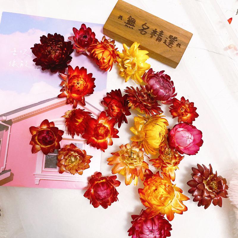 現貨🔺10克 盒裝 麥稈菊 綜合色 花頭 乾燥花 材料包 浮游花 花圈 藤圈 永生花 短枝花材 綜合乾燥花-細節圖8