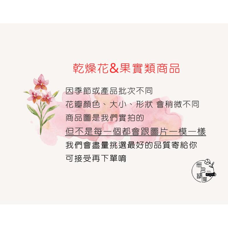 現貨🔺5支一束 進口 加那利 乾燥花 寶石草 永生花 加娜利 花束 玻璃罩 花材 DIY材料 美人草-細節圖2