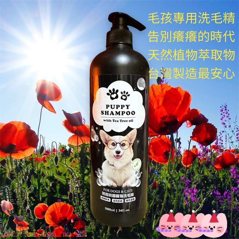 台灣製造🍃茶樹抗菌寵物洗毛精 🐶1000ml 是一般市售的兩罐半 快速出貨 🍀🍀🍀植物萃取🌿 幼兒階段 中年階段 老年階-細節圖3