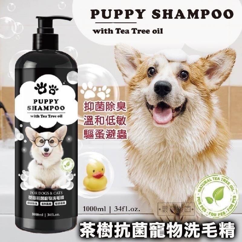 台灣製造🍃茶樹抗菌寵物洗毛精 🐶1000ml 是一般市售的兩罐半 快速出貨 🍀🍀🍀植物萃取🌿 幼兒階段 中年階段 老年階-細節圖4