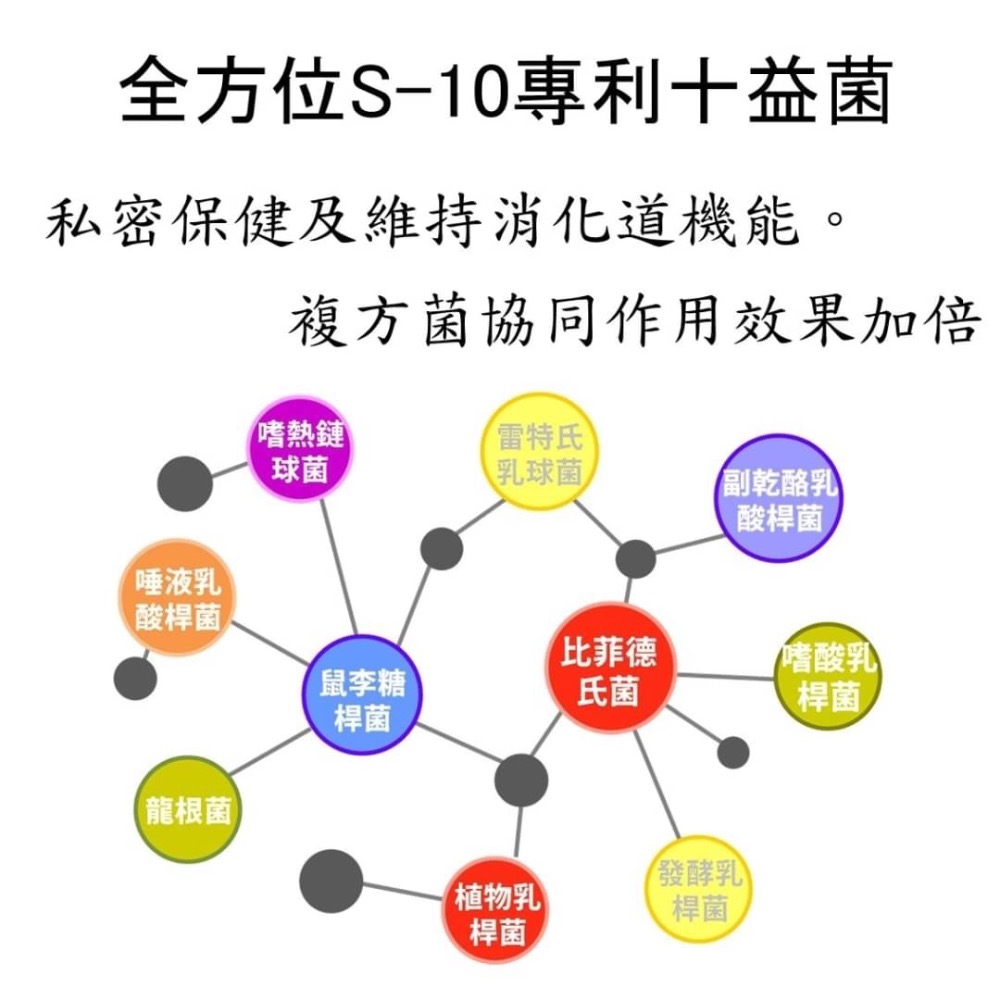 高單位蔓越莓+益生菌多元化30天錠 排便順暢 深層保健 幫助消化 綜合蔬果酵素 一天一錠 健康美麗🫲-細節圖4