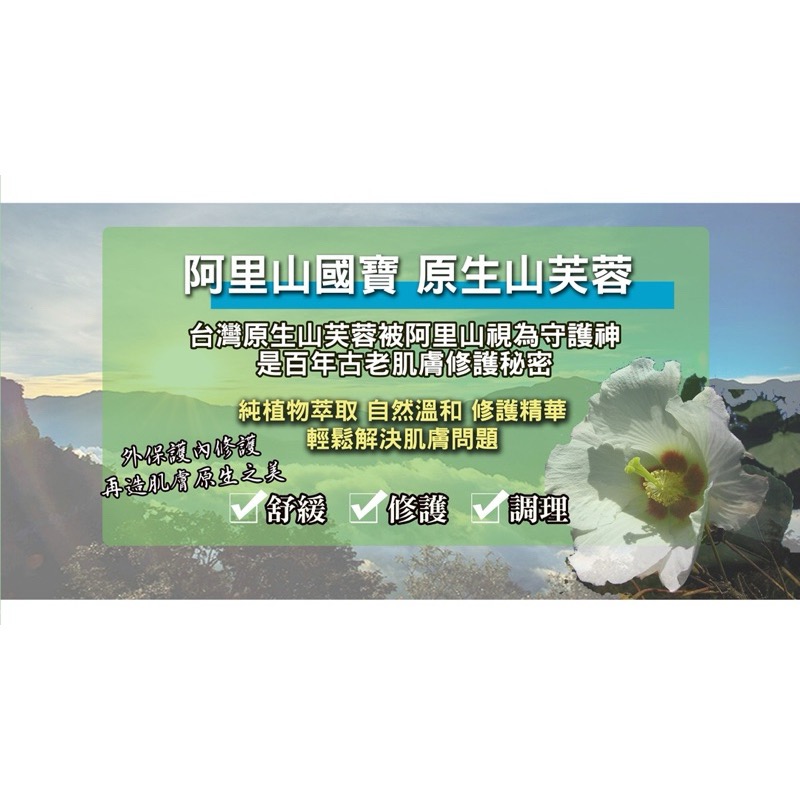 開發票 98%山芙蓉 原廠製MIT🇹🇼台灣NO1 山芙蓉草本修護凝膠五合一 修復敏感乾裂a肌從頭到腳全方位提-細節圖5