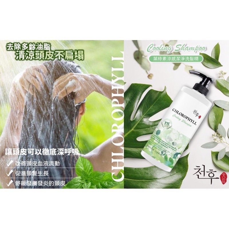 ￼台灣製造 大容量 葉綠素洗髮精 植萃葉綠素涼感洗髮精 1000ml-細節圖2