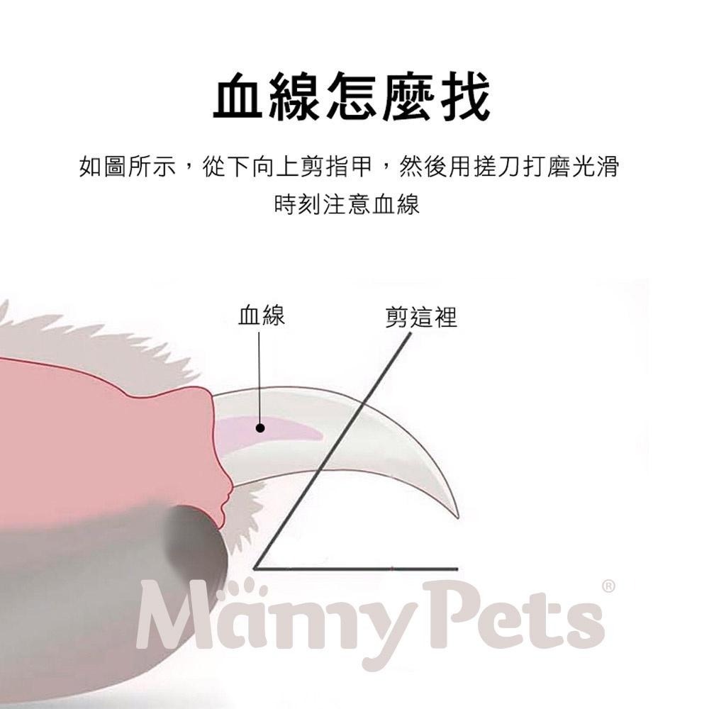 【🇹🇼超快嚴選】火箭指甲剪 LED雙燈寵物指甲剪 寵物指甲刀 寵物指甲剪 LED貓指甲剪 狗指甲剪 寵物剪刀 寵物安全剪-細節圖8