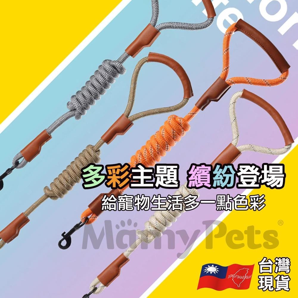 【🇹🇼超快嚴選】寵物夜光安全牽繩 皮革握把 防掙脫牽繩 寵物�牽繩 反光牽引繩 反光牽繩 狗牽引繩 狗牽繩 溜狗繩 反光-細節圖3