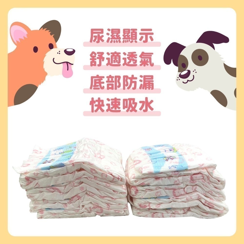 【汪寶】公狗禮貌帶 母狗生理褲 買十送一  (現貨)  公狗尿布 母狗尿布 狗尿片 寵物尿布  狗紙尿褲 狗尿布-細節圖8