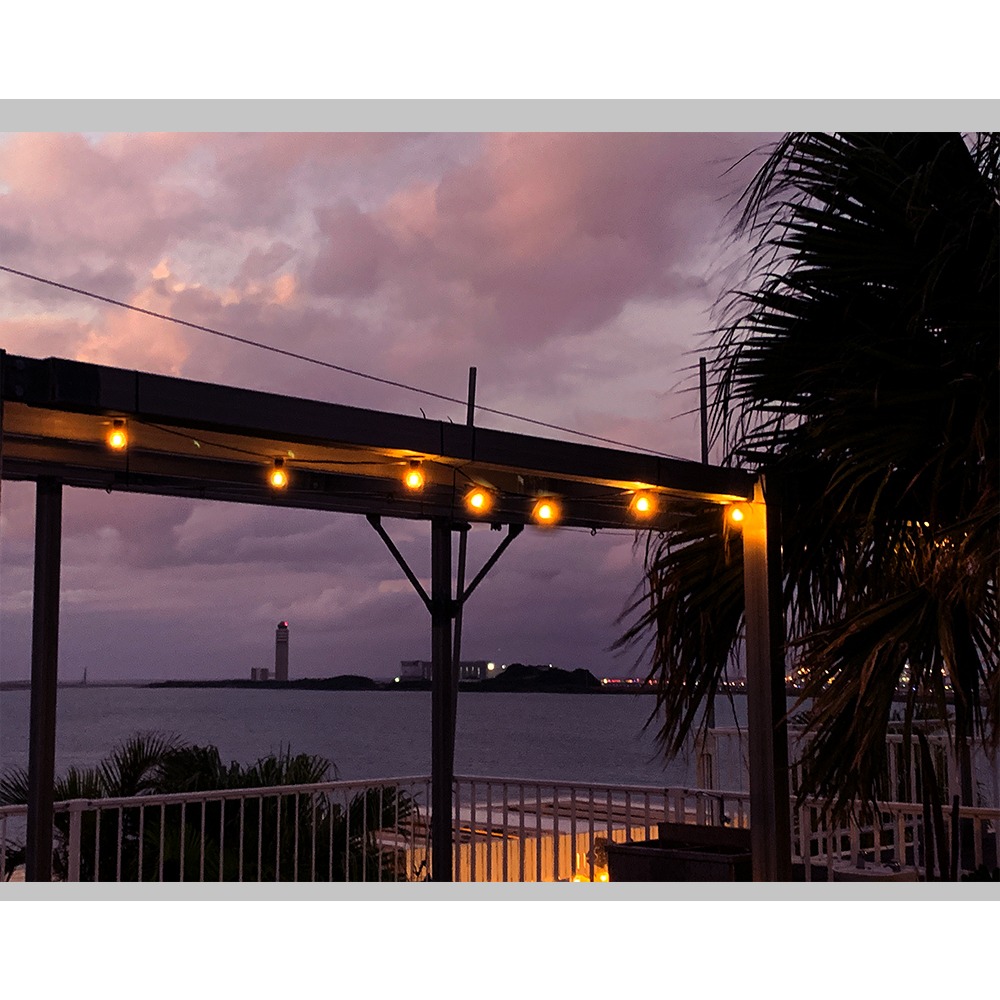 【JP嚴選-捷仕特】新款USB浪漫花園LED戶外防水燈串-細節圖7