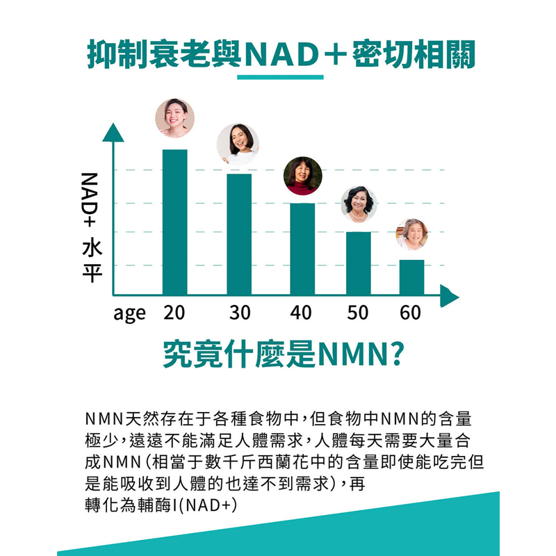 【捷仕特】IQ辛克萊 超能量代謝雞酒NMN(30粒)-細節圖3