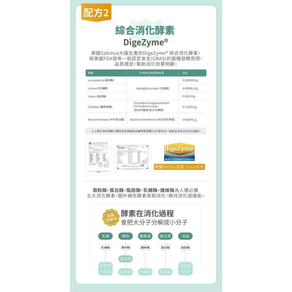 【優德莎莉】保衛君(30包/盒) 幫助消化道機能 有感體驗 綜合消化酵素 消化道機能 趙亭瑋營養師推薦-細節圖5