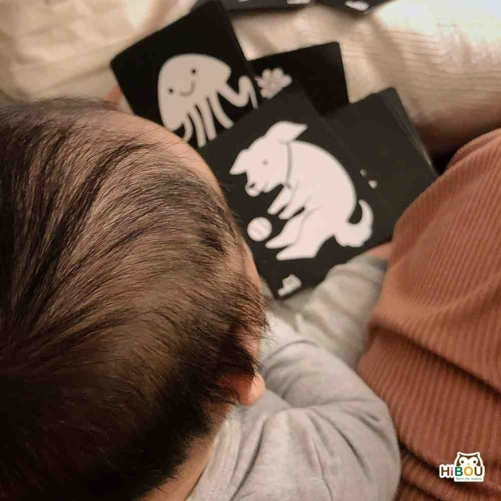台製【熱銷百件】寶寶視覺黑白雙面圖卡閃卡 坐月子黑白圖卡刺激寶寶視覺神經 0到6個月寶寶適用｜HiBOU喜福安心嬰幼-細節圖3