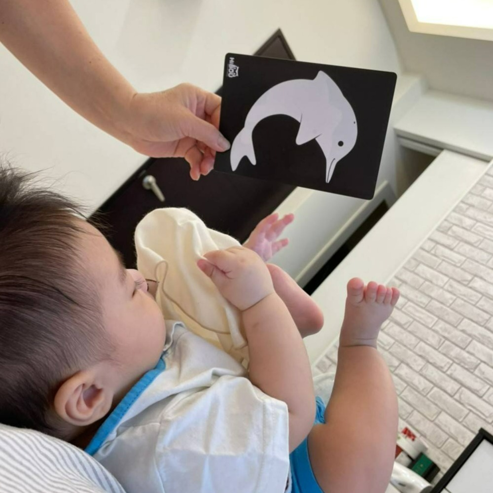 台製【熱銷百件】寶寶視覺黑白雙面圖卡閃卡 坐月子黑白圖卡刺激寶寶視覺神經 0到6個月寶寶適用｜HiBOU喜福安心嬰幼-細節圖7