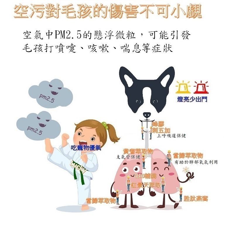 [萌小毛] 寵物優氧 寵物氣管 寵物呼吸道 寵物肺部 寵物心臟保健-細節圖6