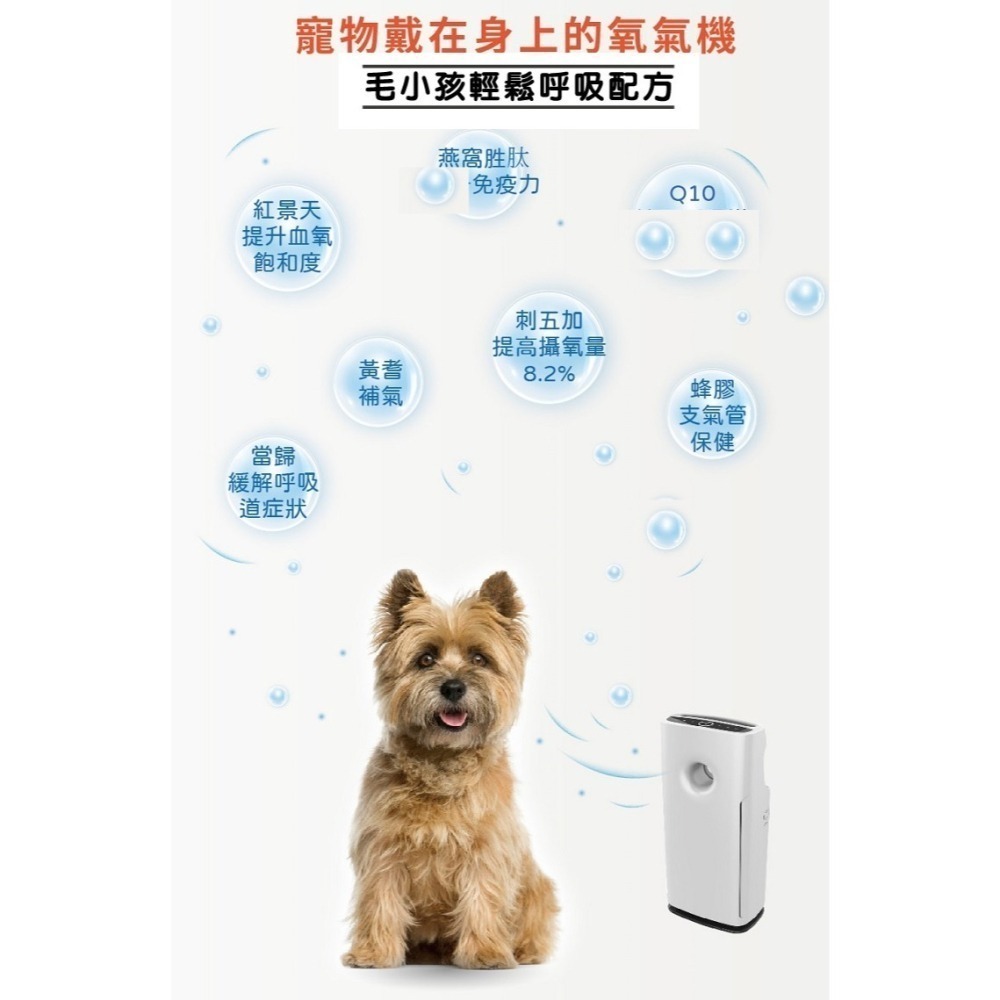 [萌小毛] 寵物優氧 寵物氣管 寵物呼吸道 寵物肺部 寵物心臟保健-細節圖7