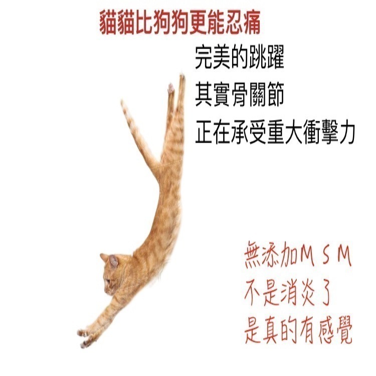 [Lucky LA 萌小毛] 寵物骨力優 寵物關節保健 不含MSM,  UCII 玻尿酸 折耳貓-細節圖5