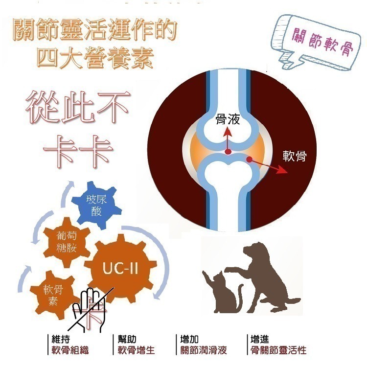 [萌小毛] 寵物骨力優 寵物關節保健 不含MSM,  UCII 玻尿酸 折耳貓-細節圖4