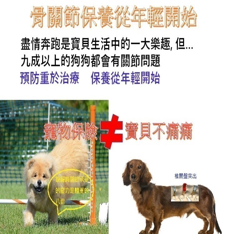 [萌小毛] 寵物骨力優 寵物關節保健 不含MSM,  UCII 玻尿酸 折耳貓-細節圖6