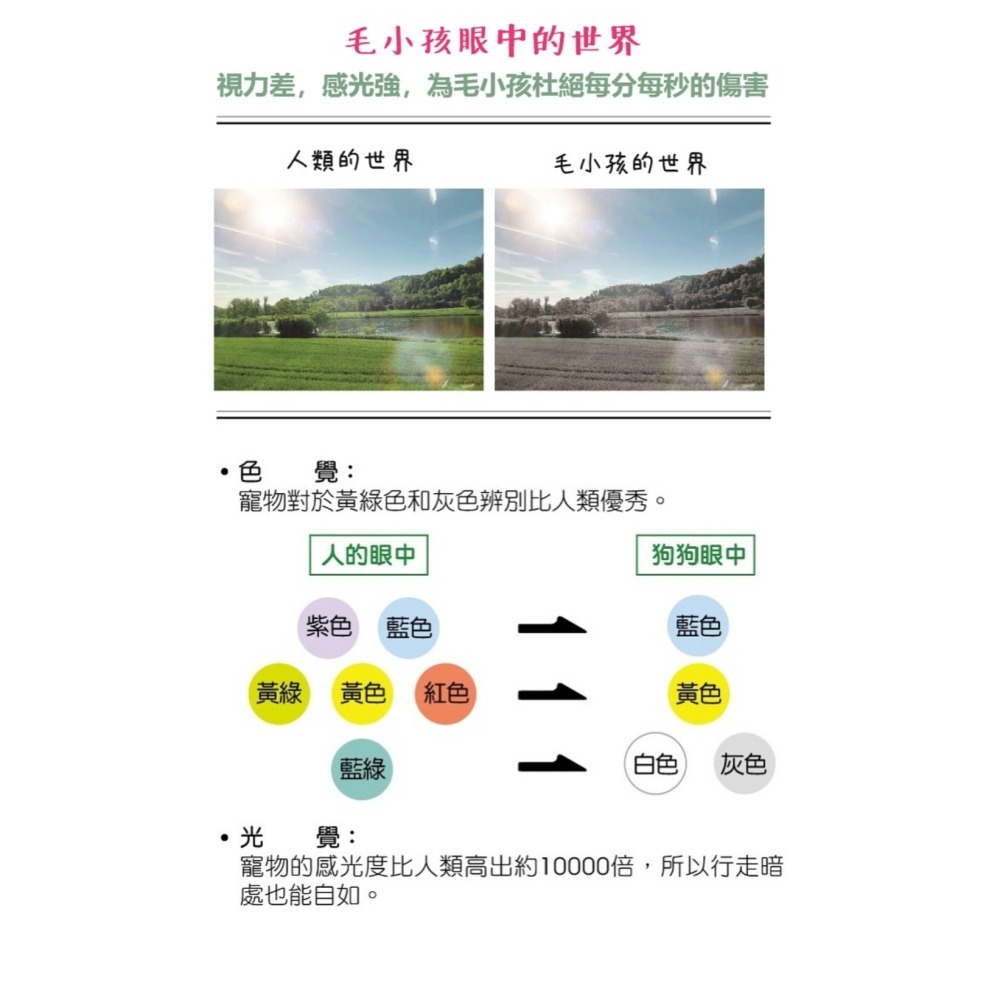 [Lucky LA 萌小毛] 寵物葉黃素-粉劑型 游離型葉黃素+微藻DHA+蝦紅素 獸醫極力推薦 護眼專科 毛孩葉黃素-細節圖4