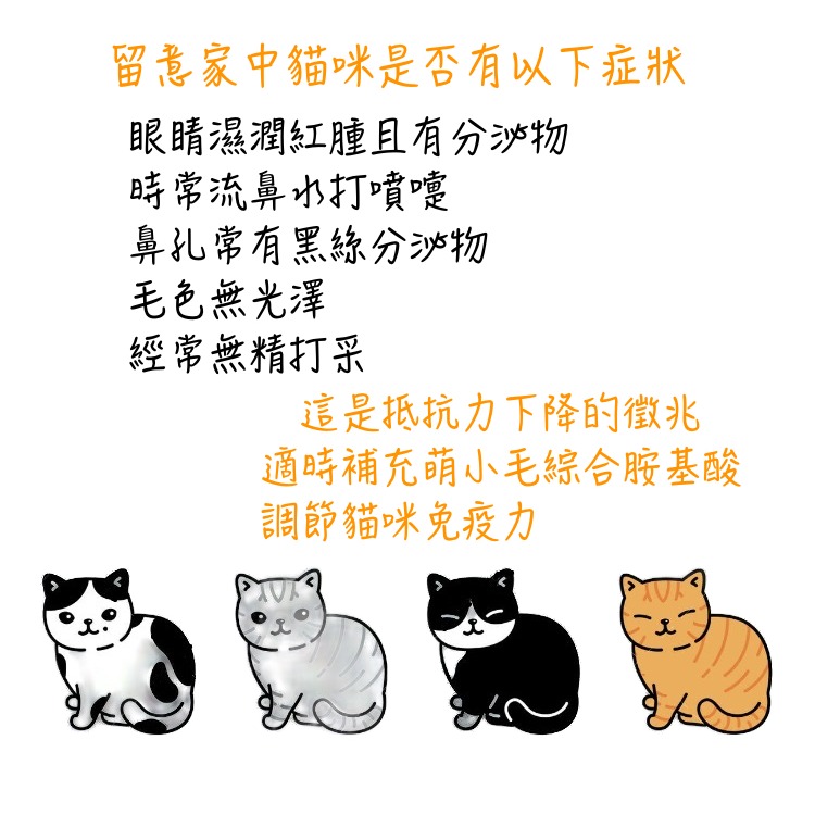 [Lucky LA 萌小毛] 貓用 離胺酸 + 牛磺酸 80公克 ,綜合胺基酸  貓泡疹 上呼吸道 眼睛流淚-細節圖4