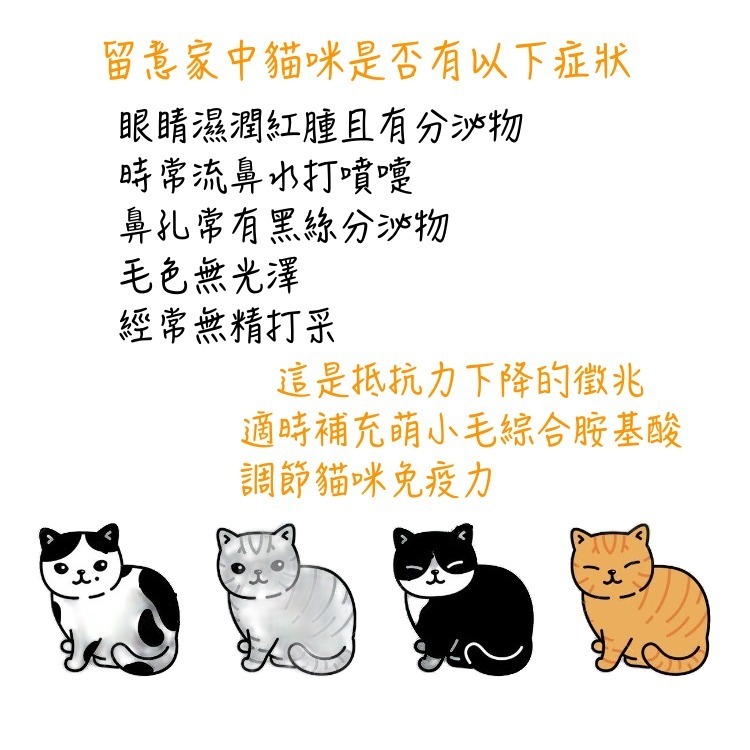 [萌小毛] 貓用 離胺酸 + 牛磺酸 80公克 ,綜合胺基酸  貓泡疹 上呼吸道 眼睛流淚-細節圖4