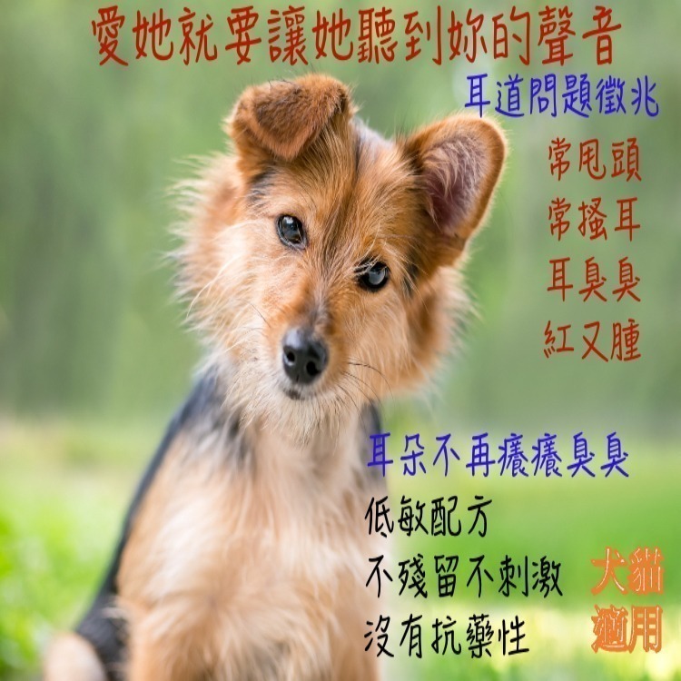 [萌小毛] 寵物薰衣草植萃耳滴劑 100ml 中性水狀 潔耳劑 潔耳液 洗耳液-細節圖2