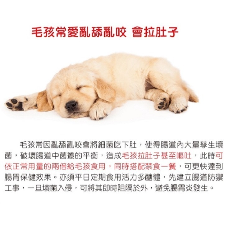 [萌小毛] 寵物舒敏優皮膚腸胃雙效益生菌 30包/盒 添加靈芝多醣體增強免疫力-細節圖6