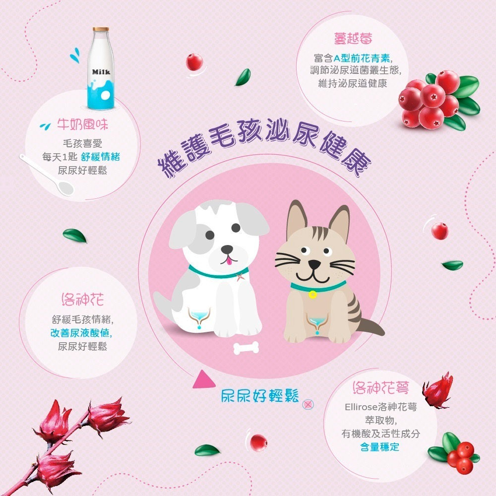 [Lucky LA 萌小毛] 寵物蔓越莓泌尿道保健粉-牛奶風味 80g 洛神花 寵物泌尿道-細節圖5