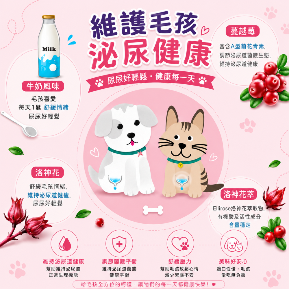 [萌小毛] 寵物蔓越莓泌尿道保健粉-牛奶風味 80g 洛神花 寵物泌尿道-細節圖5