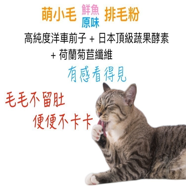 [Lucky LA 萌小毛] 寵物排毛粉 化毛膏 原味及鮮魚 80g 洋車前子 蔬果酵素膳食纖維  便秘排便不順-細節圖3